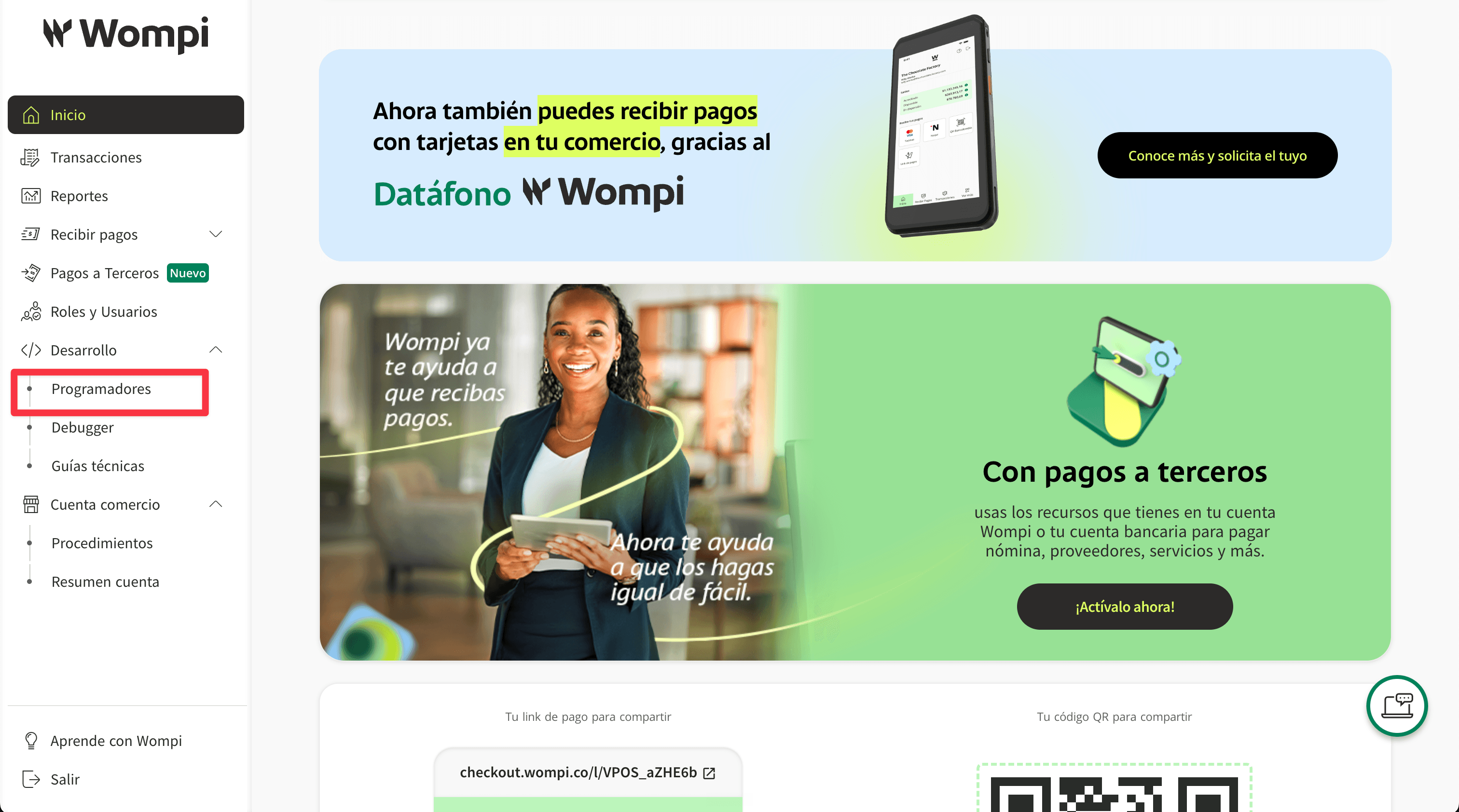 Menú Desarrollo con la opción Programadores
